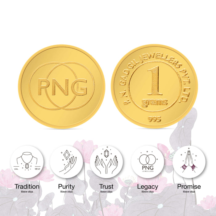 1 Gram 24 KT (995) PNG Gold Coin