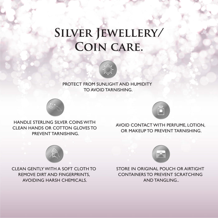 10 gms PNG Silver Chip