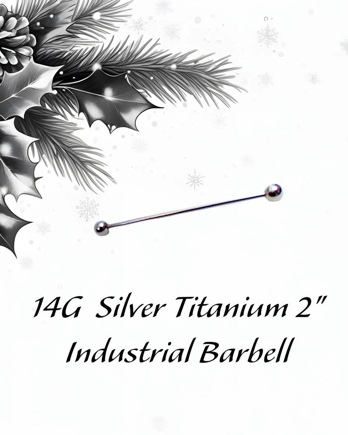 14G Surgical Steel Industrial Barbell for Scaffold Piercings (2")