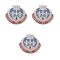 Army Crest 204th Military Intelligence Battalion: Motto - Silently We Defend