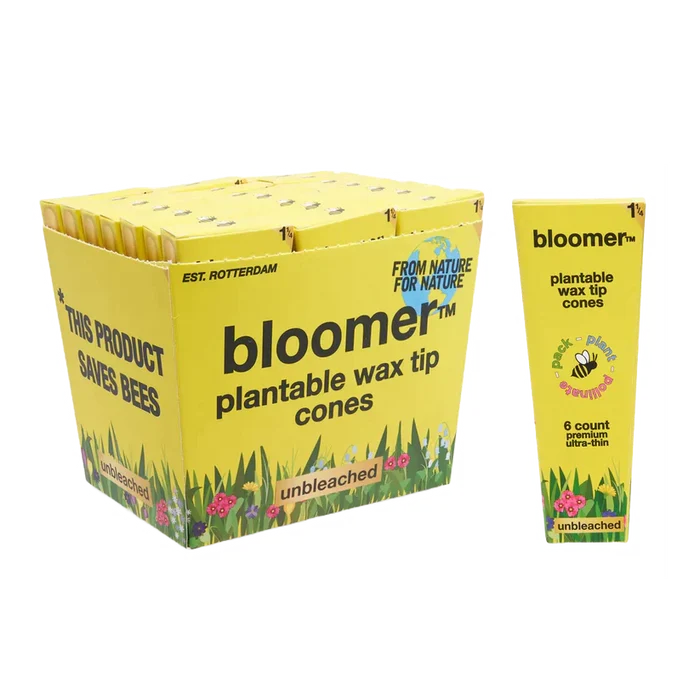 bloomer™ 1-1/4 paper cones - unbleached Box of 21_0