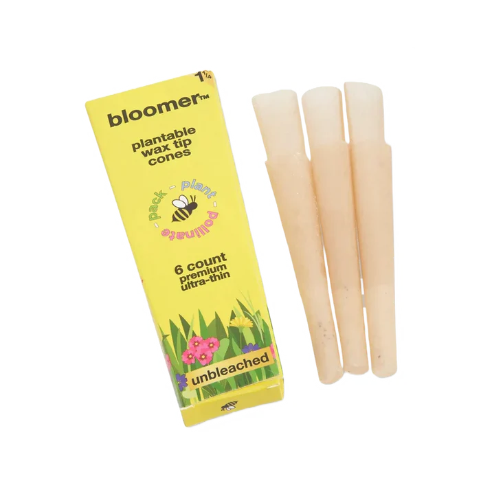 bloomer™ 1-1/4 paper cones - unbleached Box of 21_1