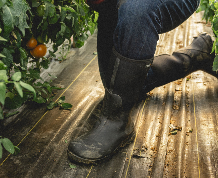 Bogs Classic Seamless Tall NT boots in black with waterproof construction and textured outsole, worn in a gardening setting.