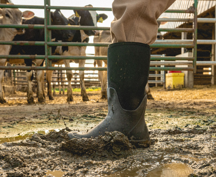 Bogs Classic Seamless Tall NT boots in black with waterproof construction and durable design, worn in muddy farmyard setting.