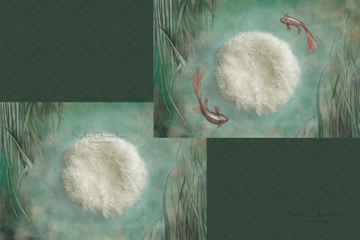Digital Backdrop