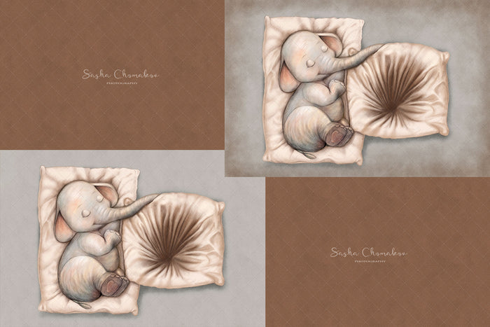 Digital Backdrop