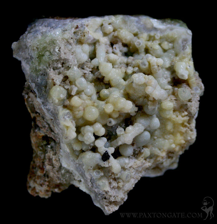 Fluorescent Hyalite Cluster - Paxton Gate