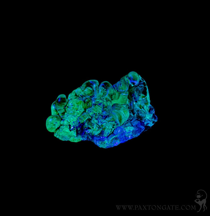 Fluorescent Hyalite Cluster - Paxton Gate