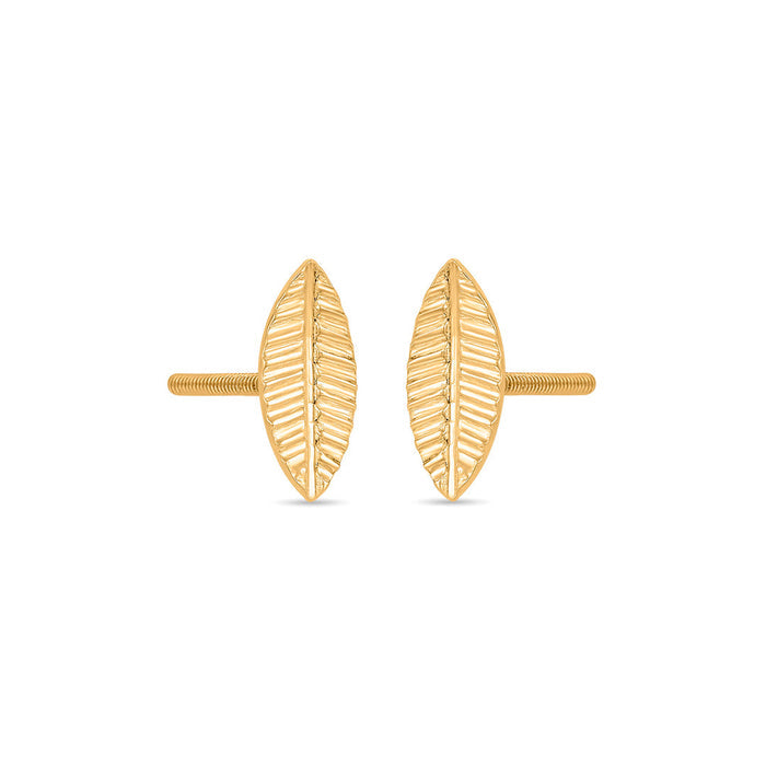 Golden Leaf Studs Gold Earrings for Women