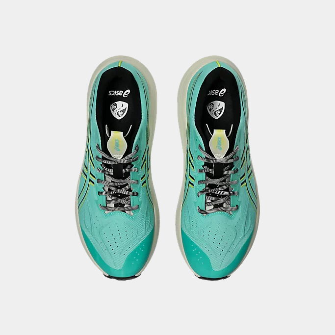 Asics GT-2000 14 TR running shoes top view showing teal and black cushioned insoles with logo detailing.