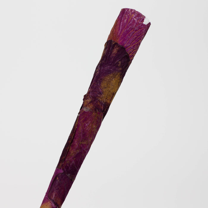 Kandu NYC  Rose Petal Pre-rolled Cones 109mm Display Jar of 30 Count