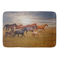 Last Light's Run Bath Mat