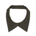 Marine Corps: Female Green Neck Tab