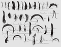 Photoshop hair brushes set 3