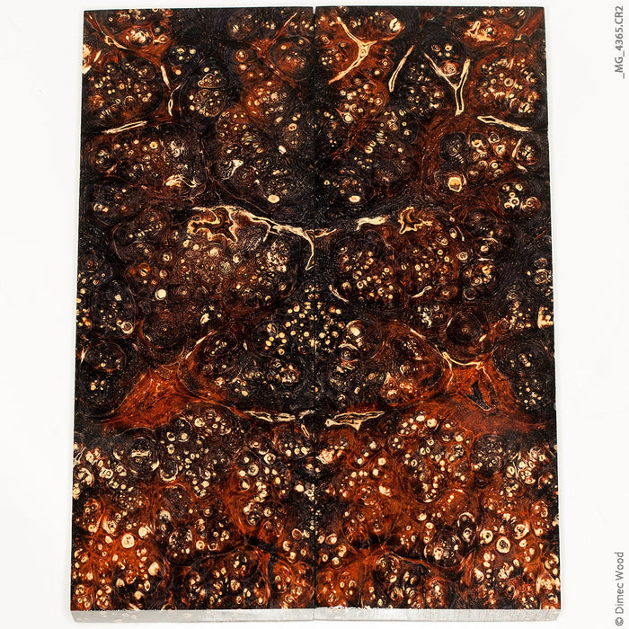 Stabilized box elder burl wood panels