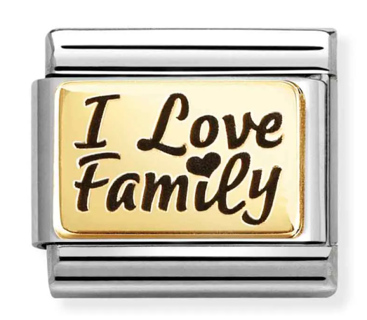Stainless Steel & 18K Yellow Gold "I Love Family" Charm
