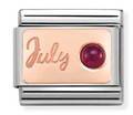 Stainless Steel & 9K Rose Gold July Ruby Birthstone Charm