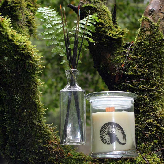 Unscented Soy Candle With Wood Wick - Paxton Gate