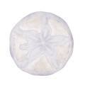 Wall Decor - 10" Sand Dollar