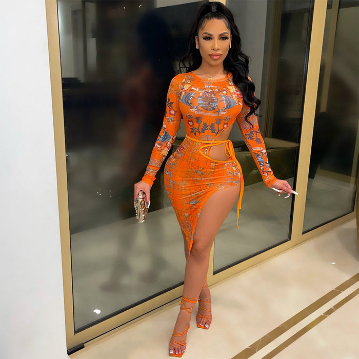 Women's Fashion Mesh Printed Dress