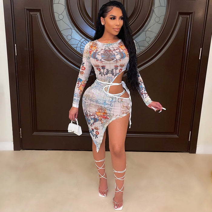 Women's Fashion Mesh Printed Dress